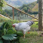 Il Poderuccio Vakantieboerderij Castiglione dʼOrcia
