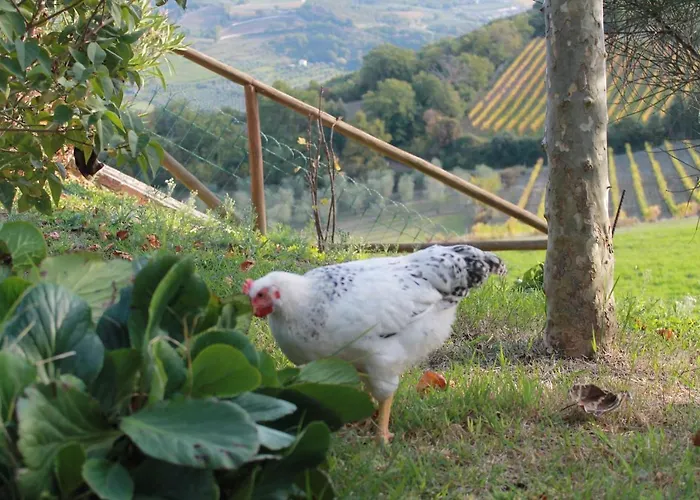 Il Poderuccio Vakantieboerderij Castiglione dʼOrcia