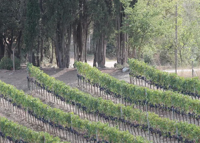 Vakantieboerderij Il Poderuccio Castiglione dʼOrcia