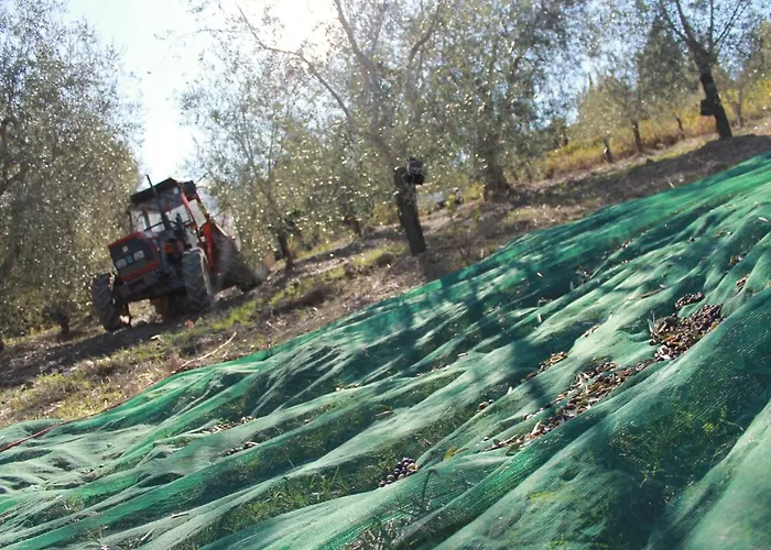 Il Poderuccio * Castiglione dʼOrcia