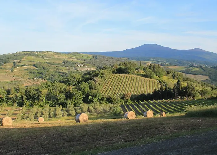 Il Poderuccio Castiglione dʼOrcia